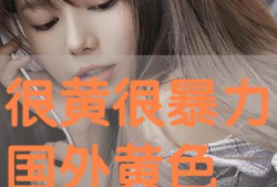 很黄视频,揭秘网络“黄”视频背后的真相