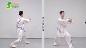 太极一章教学视频,入门基础动作解析与技巧讲解